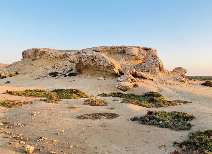 Doha: Al Zubara-fortet, Al Jumail og Al Thakira guidet tur