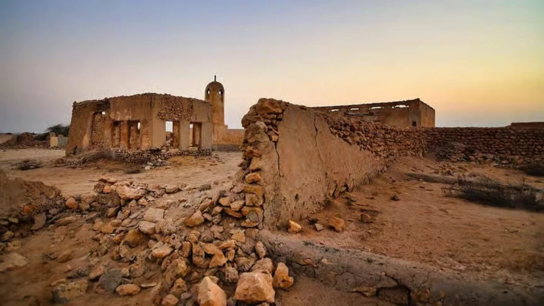 Doha: tour guidato al Forte di Al Zubarah, Purple Island e Al Khor