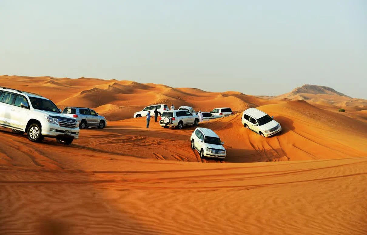 Doha: City Tour and Desert Safari Experience
