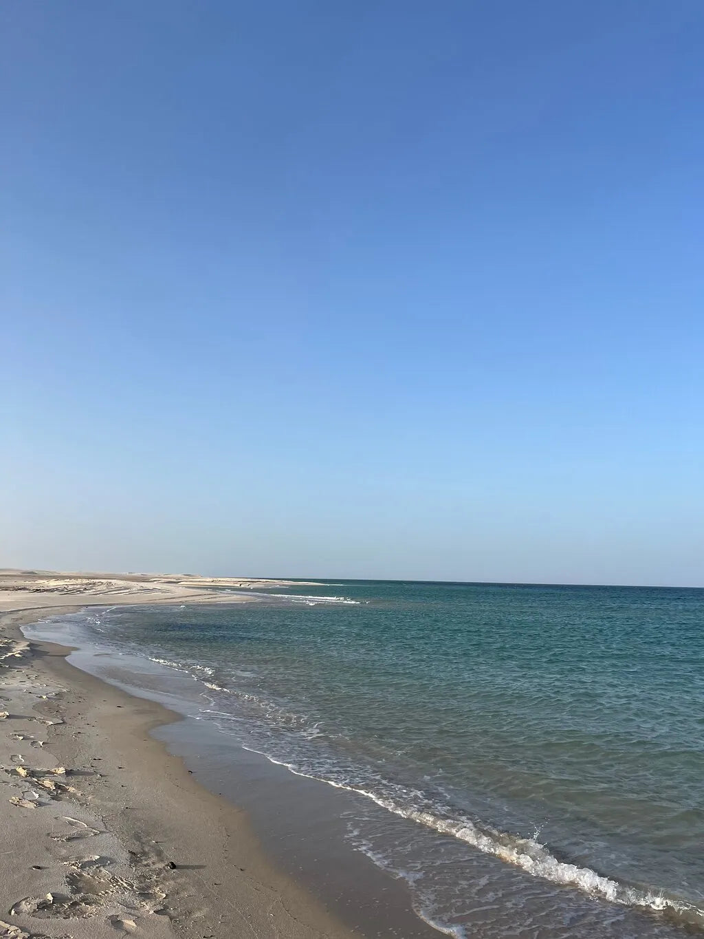 多哈：私人城市游和半日沙漠探险组合