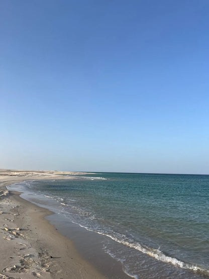 多哈：私人城市游和半日沙漠探险组合