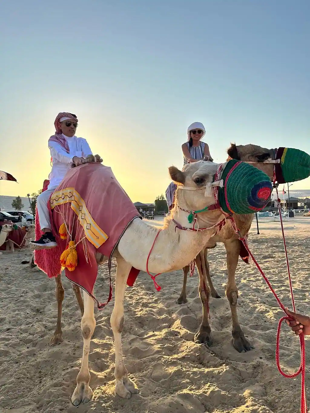 多哈：私人城市游和半日沙漠探险组合