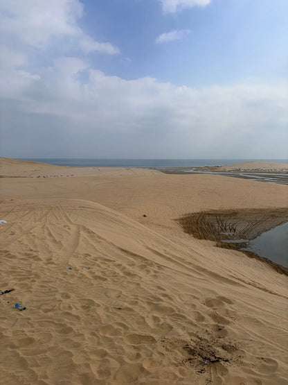 Doha: Ökensafari, Dune Bashing och Sandboarding-tur