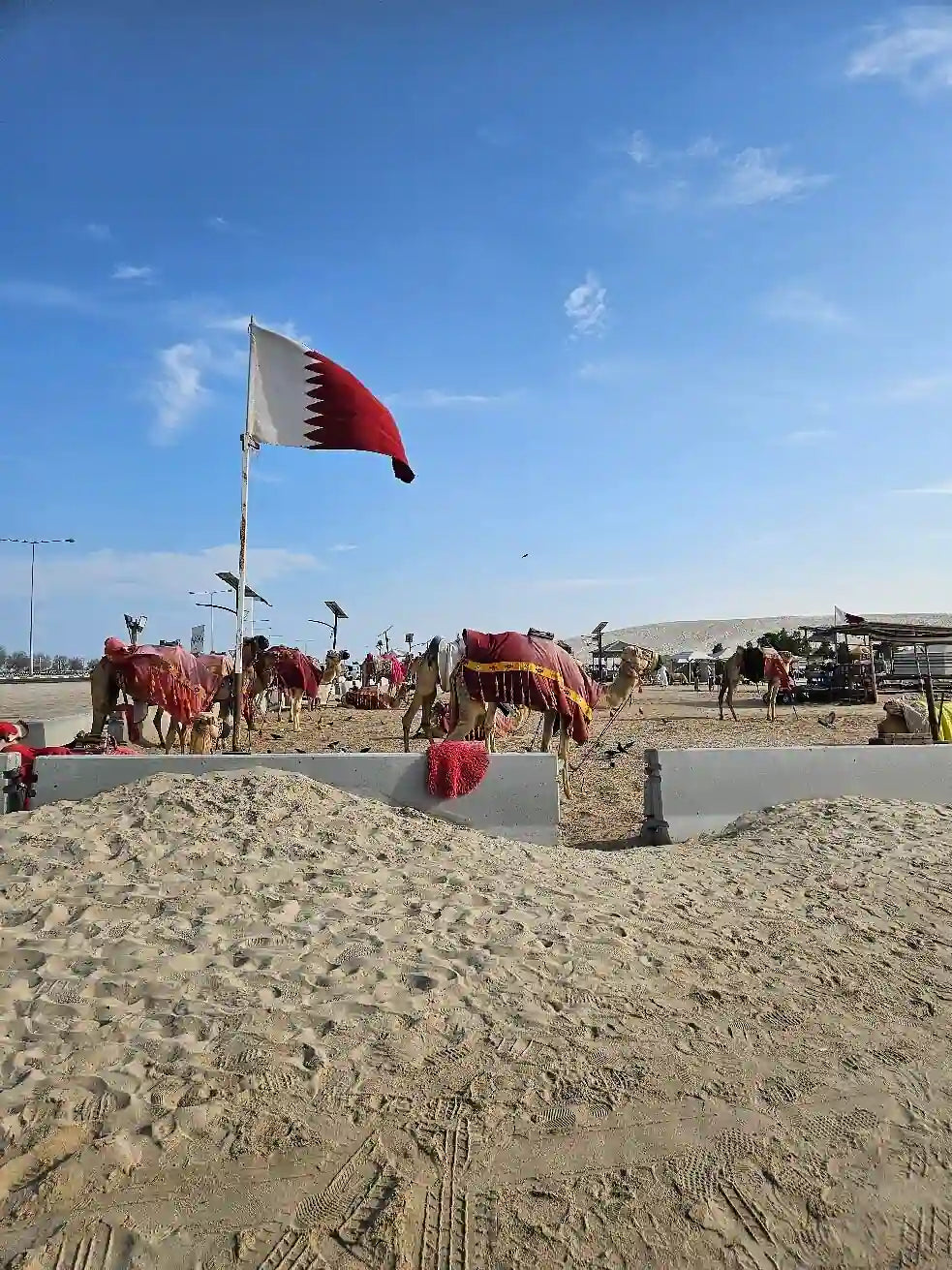 Doha: Ökensafari, Dune Bashing och Sandboarding-tur