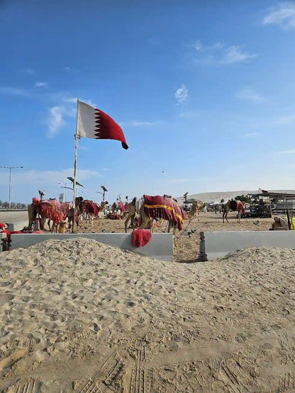 Doha: Ökensafari, Dune Bashing och Sandboarding-tur