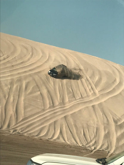 Doha: tour guidato di safari nel deserto, Mare Interno e giro in cammello