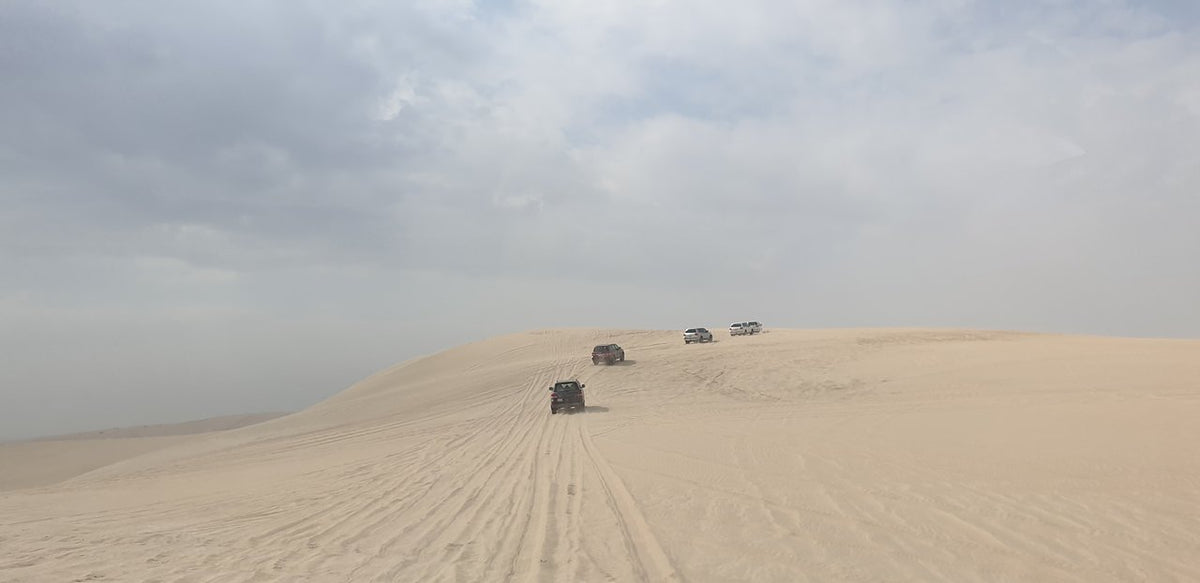 Doha: tour guidato di safari nel deserto, Mare Interno e giro in cammello