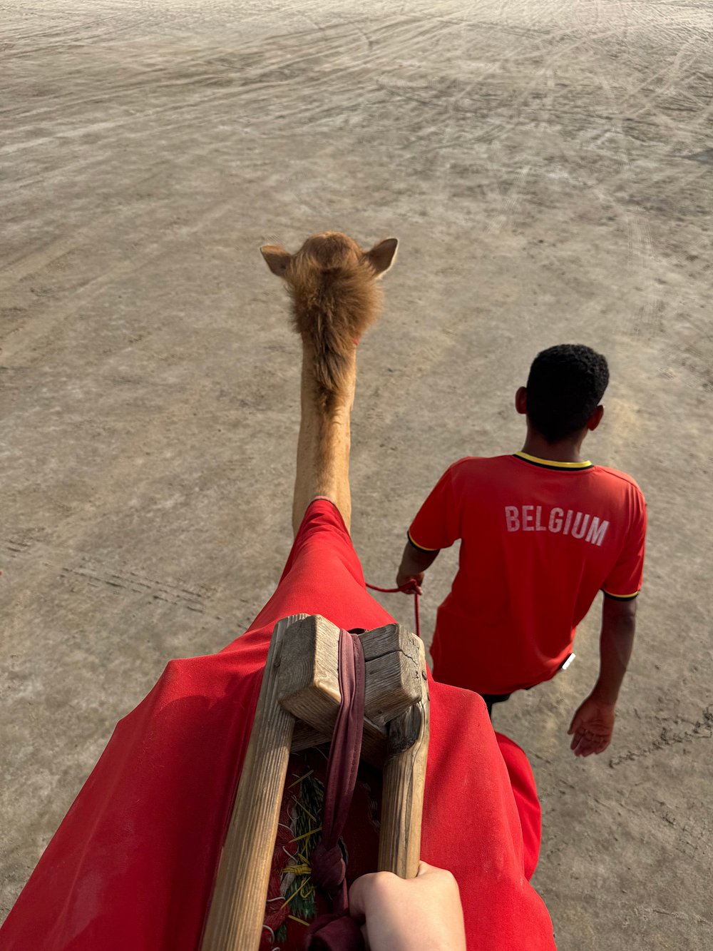 Doha: Desert Safari, Sandboarding and Mina District Tour