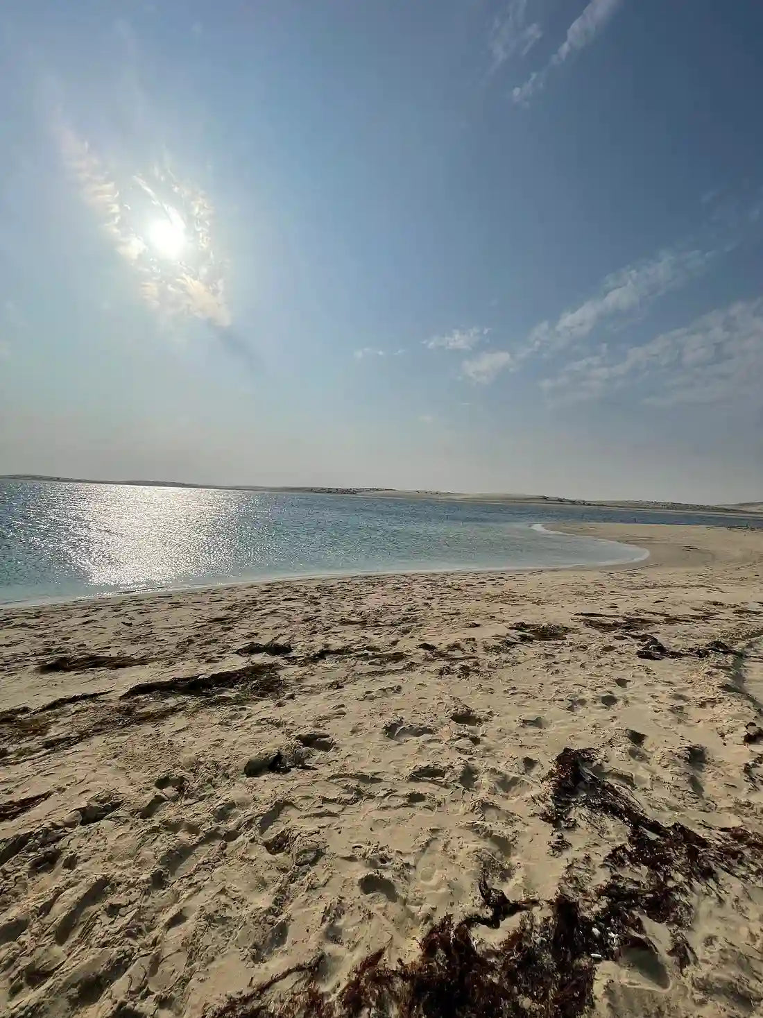 Doha: Wüstensafari, Sandboarding und optionale Kamelritt-Tour