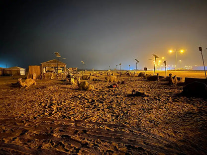 Doha: Desert Safari at Night with Stargazing and Dune Bashing