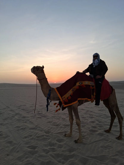 Doha: Desert Safari at Night with Stargazing and Dune Bashing