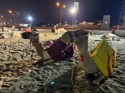 Doha: Desert Safari at Night with Stargazing and Dune Bashing