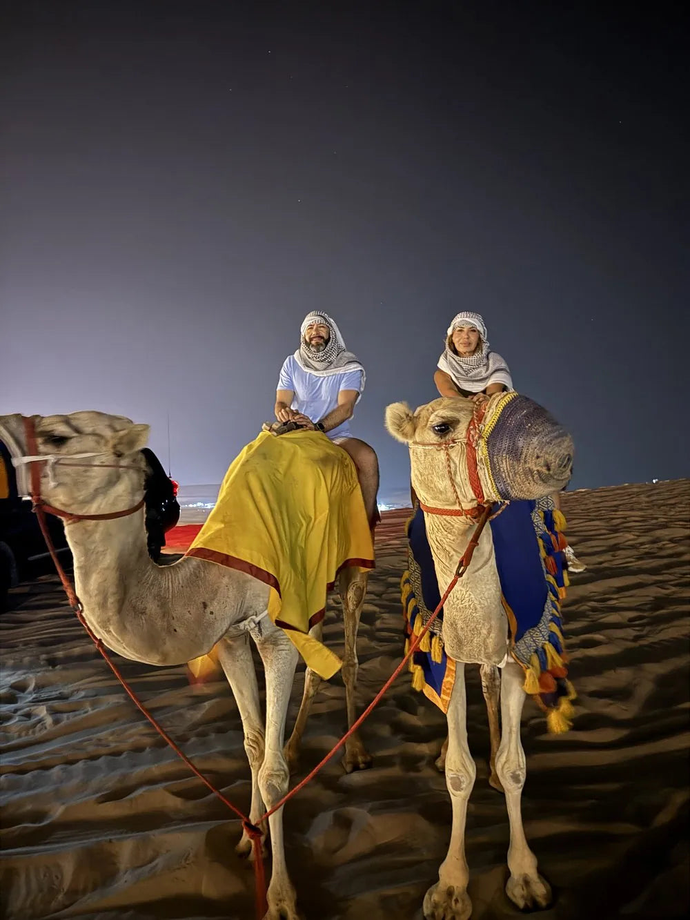 Doha: Desert Safari at Night with Stargazing and Dune Bashing
