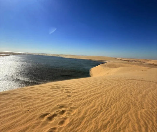 Doha : Safari dans le désert partagé ou privé avec dune bashing et sandboarding