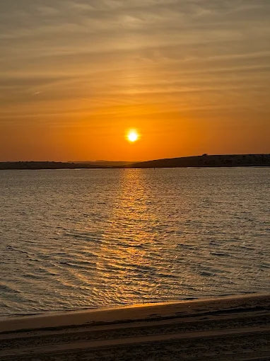 多哈：沙漠探险与四轮摩托、沙丘越野车或骑骆驼体验