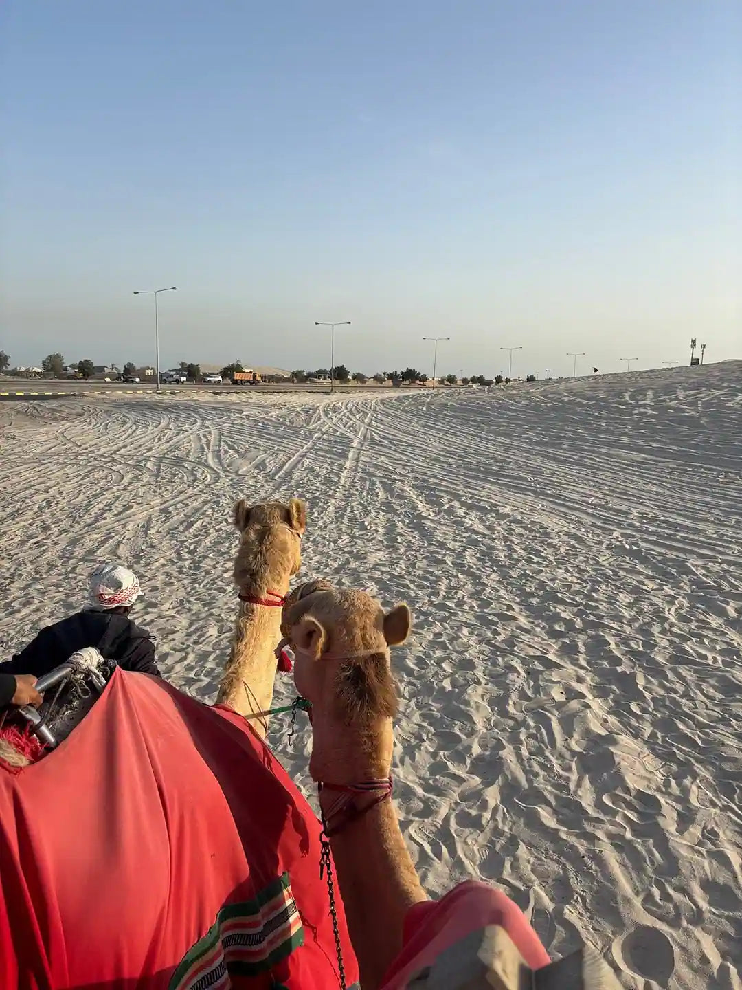 Doha: Safari nel Deserto con Sandboarding, visita al Mare Interno e Giro in Cammello Opzionale
