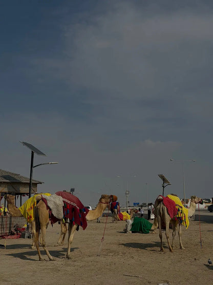 Doha: Safari nel Deserto con Sandboarding, visita al Mare Interno e Giro in Cammello Opzionale