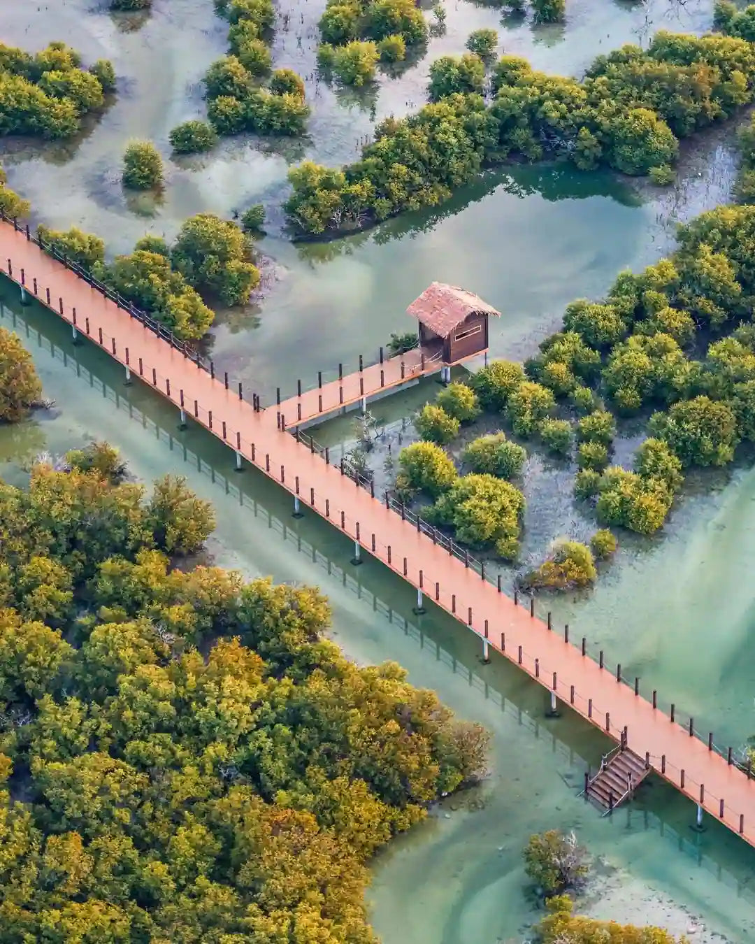 Doha: Mangrov Ormanı Üzerinde Uçuş Turu