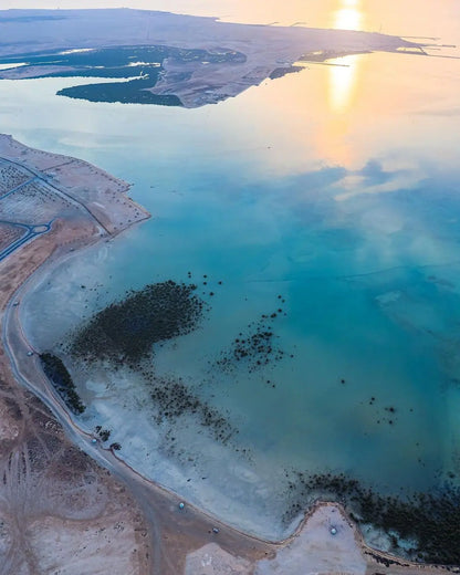 Doha: Mangrov Ormanı Üzerinde Uçuş Turu