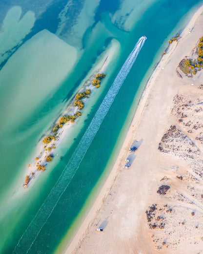 Doha: Mangrov Ormanı Üzerinde Uçuş Turu
