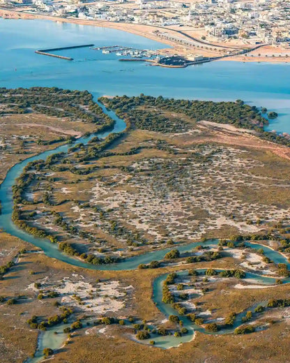 Doha: Mangrov Ormanı Üzerinde Uçuş Turu