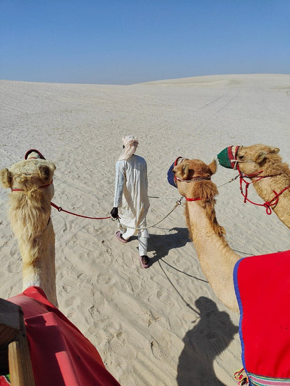 Doha: Ganztägige Wüstensafari mit Beduinen-Mittagessen oder -Abendessen