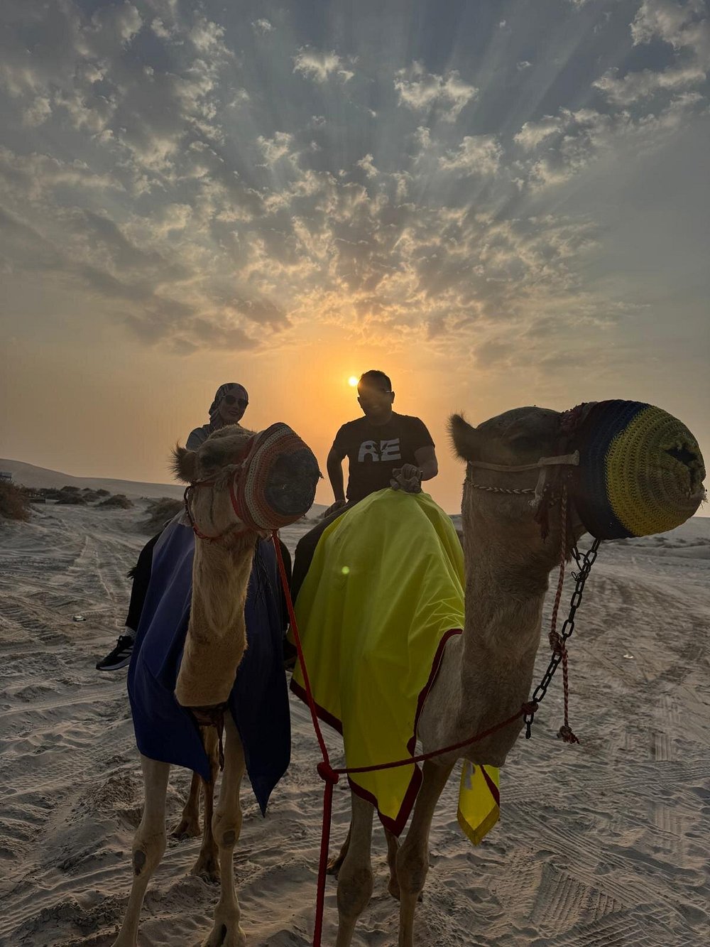 Doha: Ganztägige Wüstensafari mit Beduinen-Mittagessen oder -Abendessen