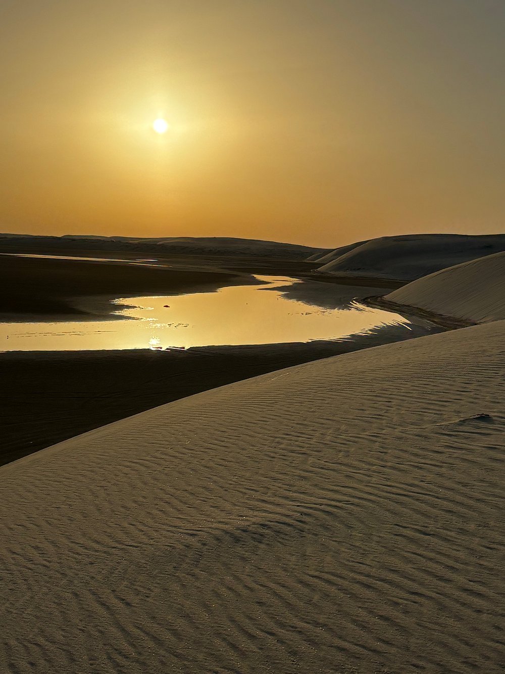 Doha: Ganztägige Wüstensafari mit Beduinen-Mittagessen oder -Abendessen
