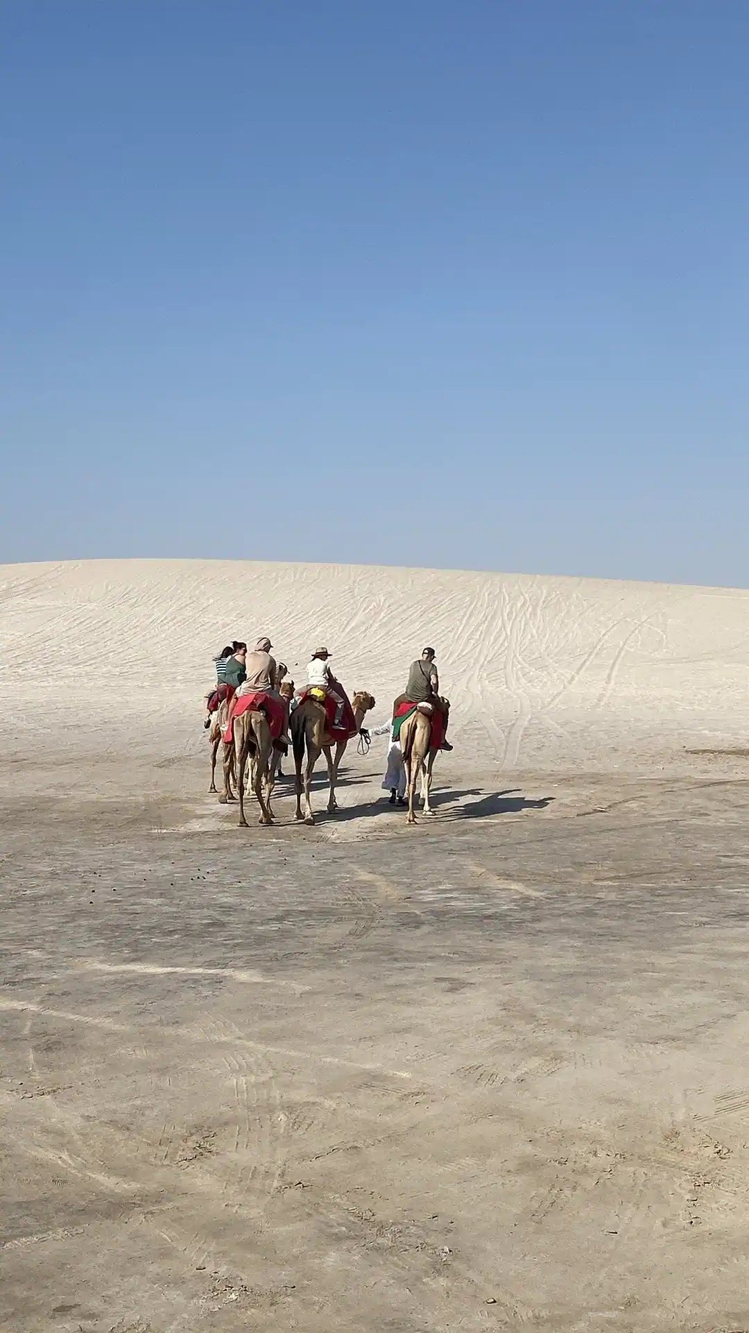 Doha: Ganztägige Wüstensafari mit Beduinen-Mittagessen oder -Abendessen