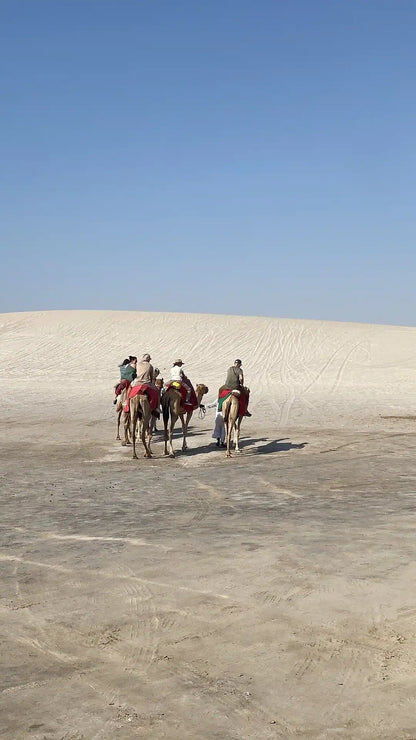 Doha: Ganztägige Wüstensafari mit Beduinen-Mittagessen oder -Abendessen