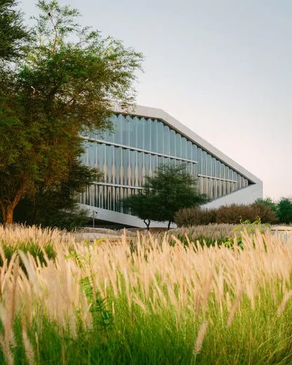 Doha: Gondol Yolculuğu Dahil Büyük Cami ve Education City Özel Turu
