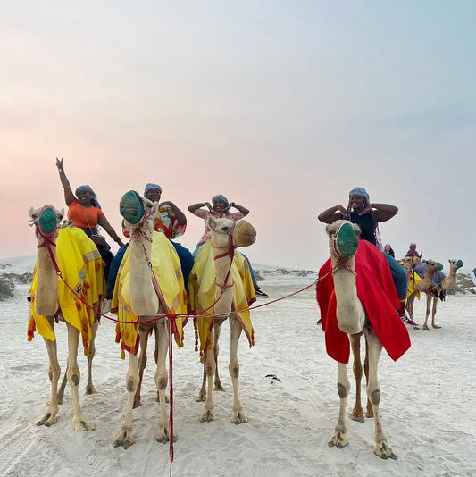 Doha: Guided Desert Safari Tour with Inland Sea Visit