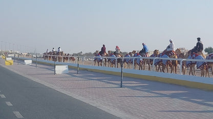 Doha: tour guiado a Richard Serra, el desierto de Zekreet y Mushroom Rock