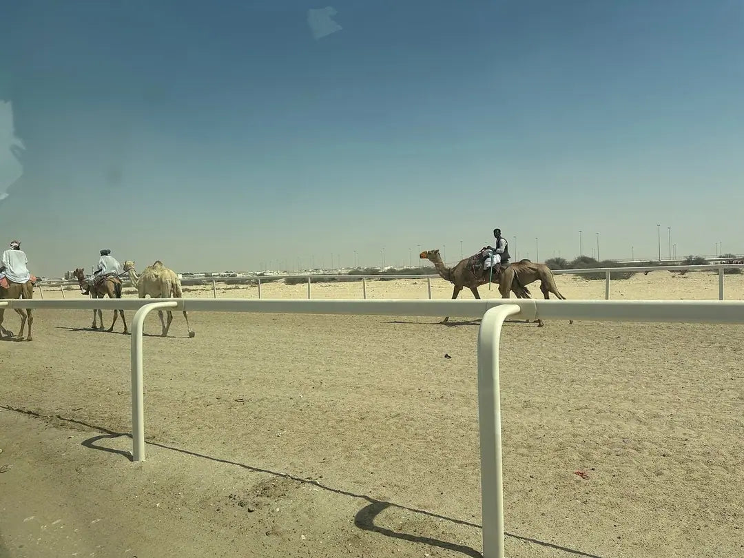Doha: tour guiado a Richard Serra, el desierto de Zekreet y Mushroom Rock