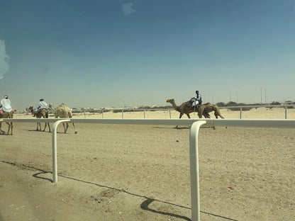 Doha: tour guiado a Richard Serra, el desierto de Zekreet y Mushroom Rock