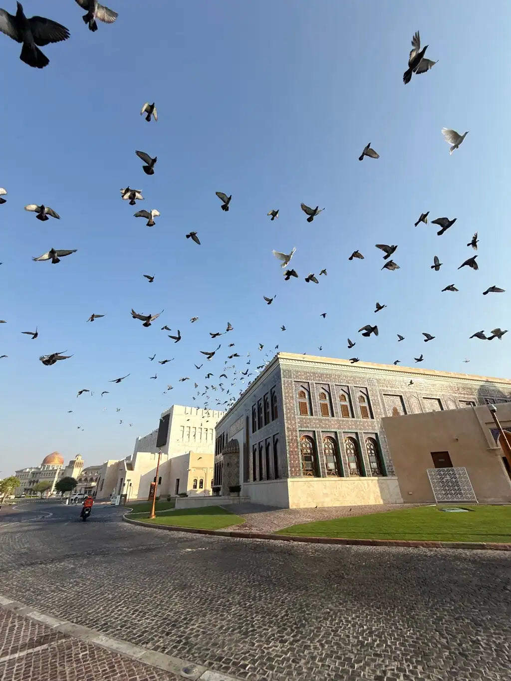 Doha: tour guiado por el Zoco Waqif, Katara y comida tradicional catarí