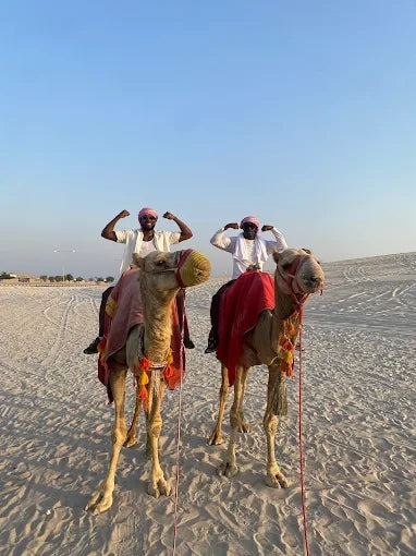 Doha: Half Day Desert Safari, Sandboarding and Inland Sea Guided Tour