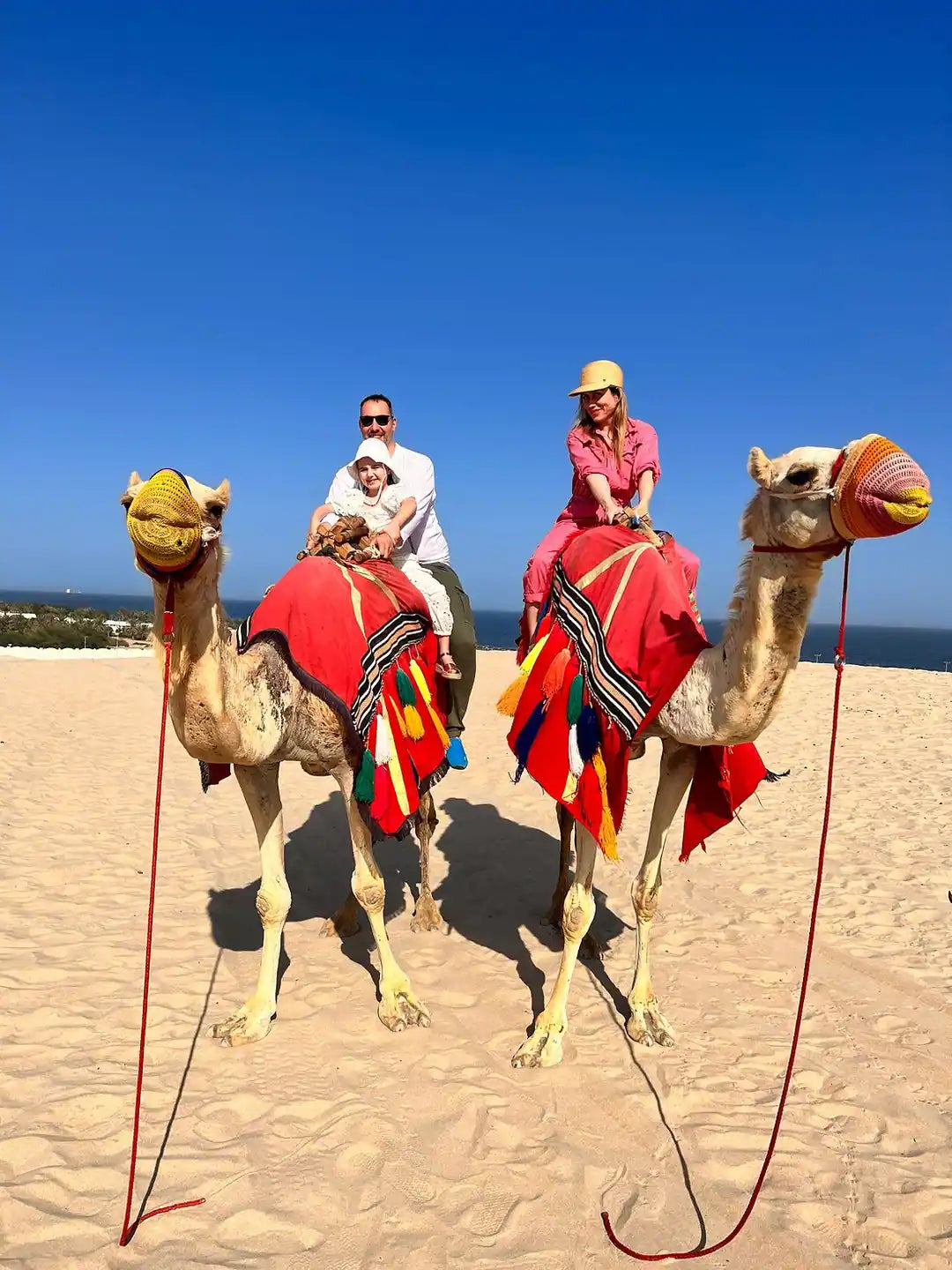 Доха: сафари по пустыне к Внутреннему морю с сэндбордингом и катанием на верблюдах