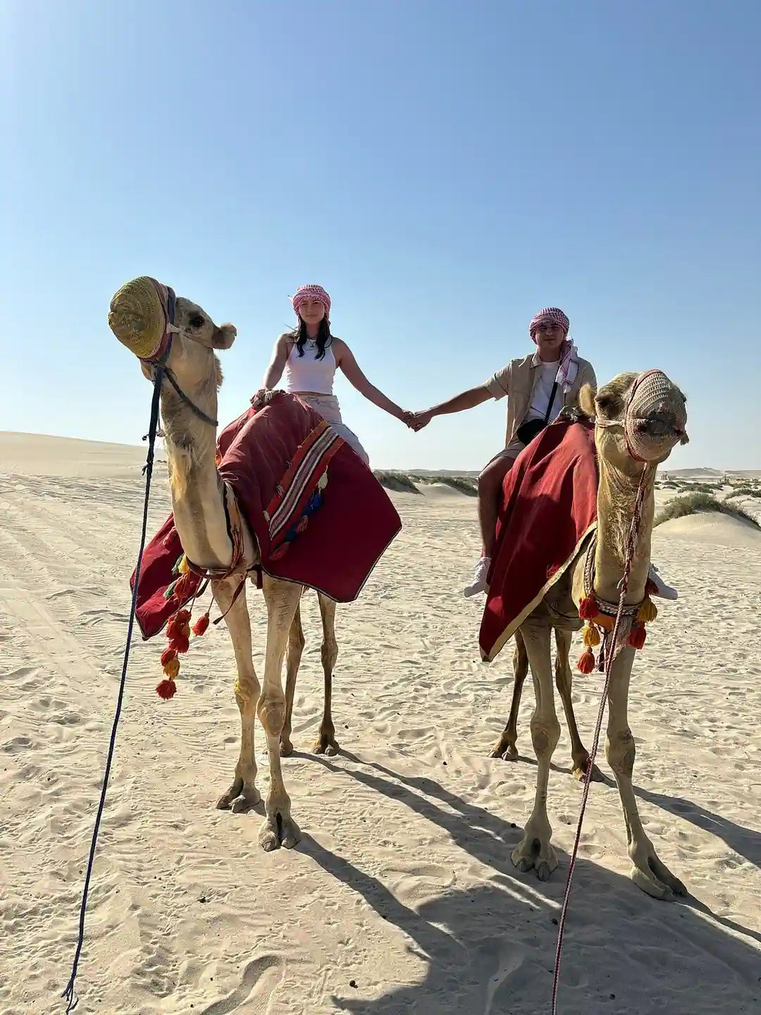 Доха: сафари по пустыне к Внутреннему морю с сэндбордингом и катанием на верблюдах