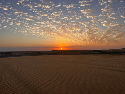 Доха: сафари по пустыне к Внутреннему морю с сэндбордингом и катанием на верблюдах