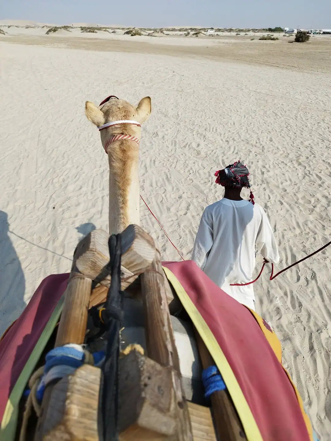 Doha: Kids-Friendly Private Desert Safari