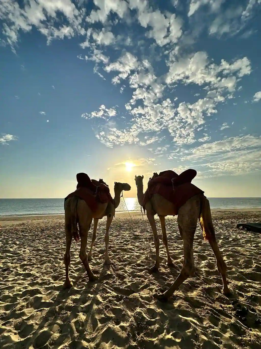 Doha: Kids-Friendly Private Desert Safari