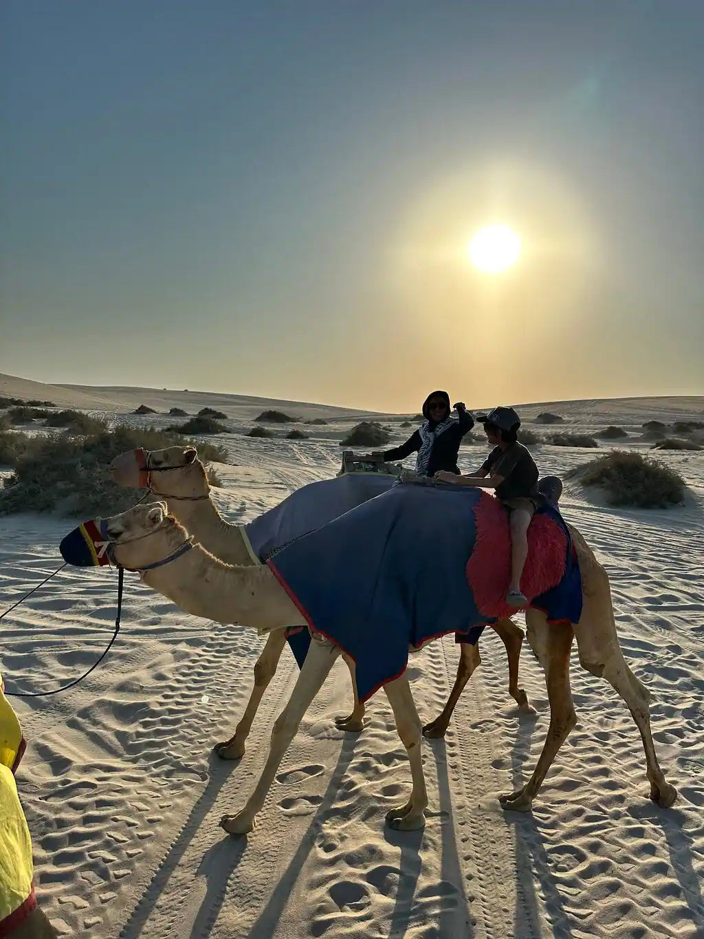 Doha: Kids-Friendly Private Desert Safari