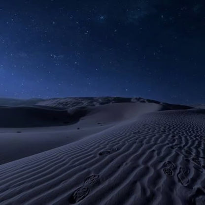 Doha : Safari nocturne dans le désert sous les étoiles arabes