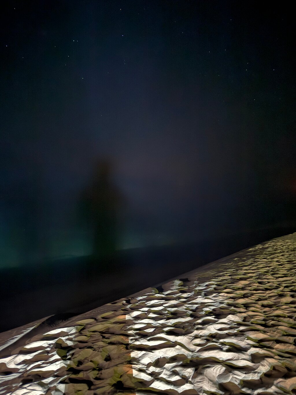 Doha: safari nocturno por el desierto, paseo en camello y observación de estrellas