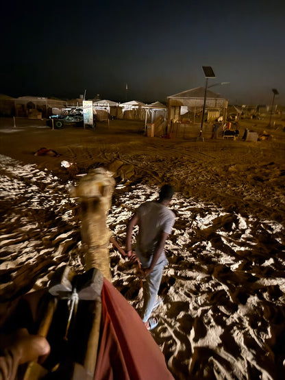 Doha: safari nocturno por el desierto, paseo en camello y observación de estrellas