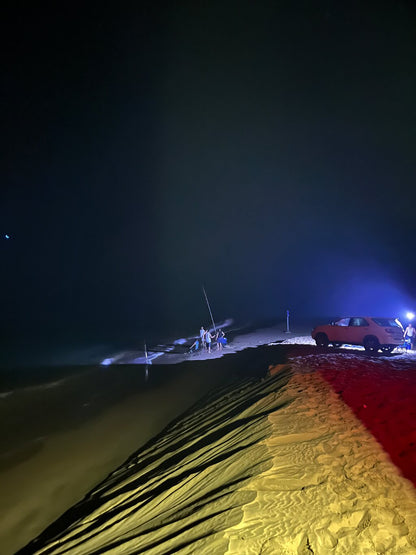 Doha: safari nocturno por el desierto, paseo en camello y observación de estrellas
