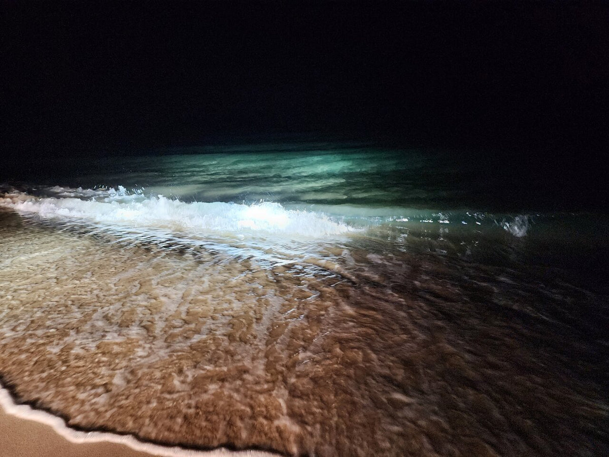 Doha: safari nocturno por el desierto, paseo en camello y observación de estrellas