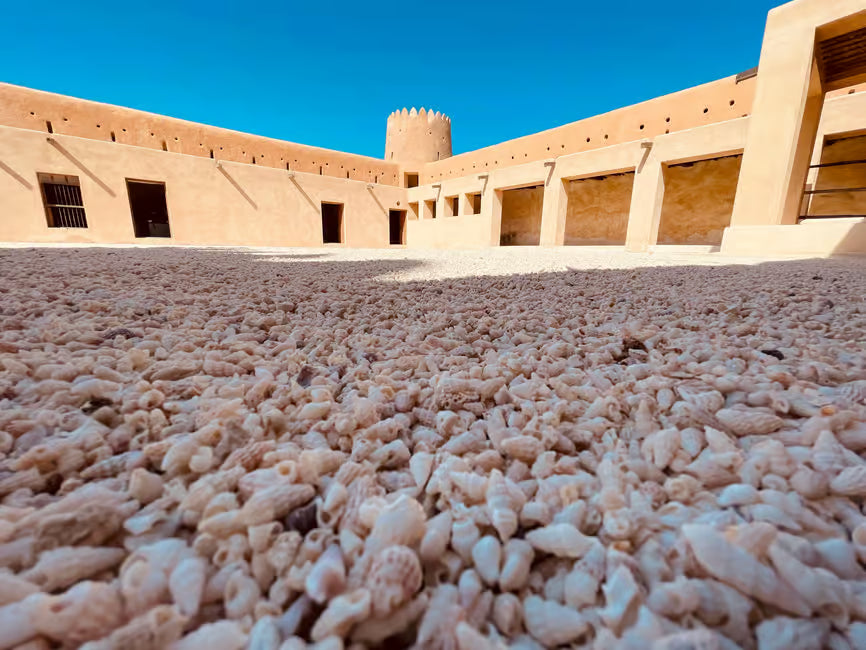 Doha: Nordkatar-Tour zur Zubara-Festung, Jumail, Purple Island und Mangroven