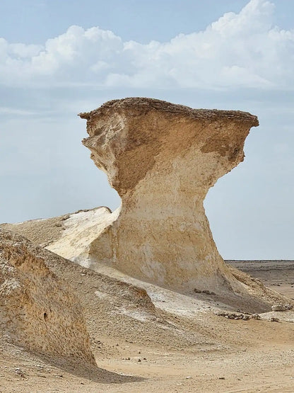 Doha: North and West Qatar Combo Tour with Pickup